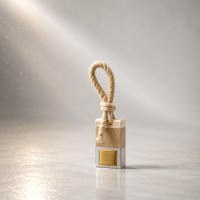 AROMALUXSOL Автопарфюм ароматизатор для авто Tom Ford - Soleil Blanc (женский)
