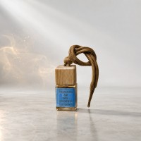 AROMALUXSOL Автопарфюм ароматизатор для авто Versace - Man (мужской)