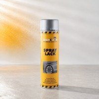CHAMALEON 261046 Аэрозольная краска для дисков SILVER  600 мл